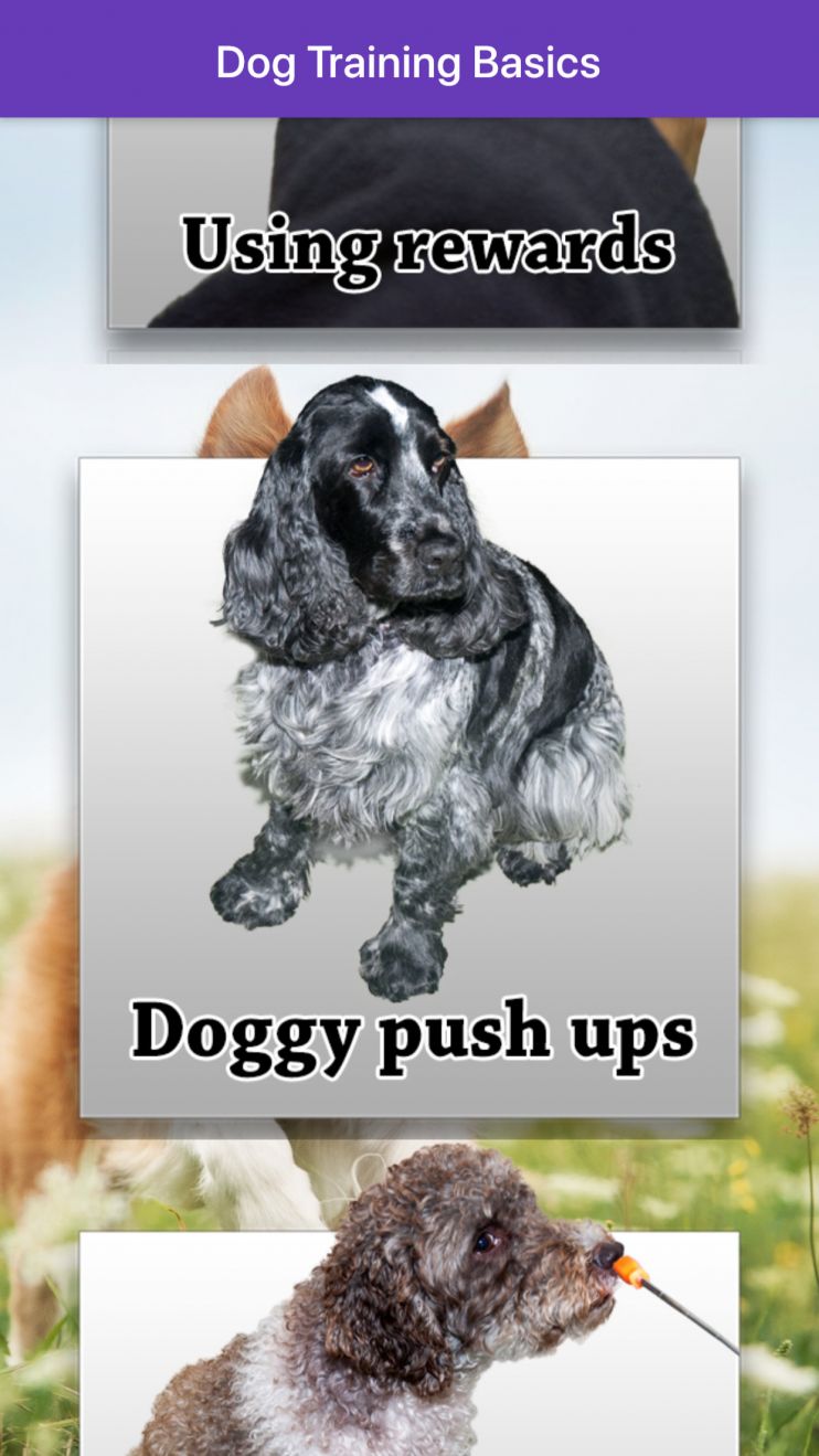 The Friendly Dog Club Dog Training App
