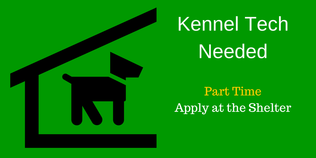Part Time Kennel Staff Needed at Friends Forever Friends Forever