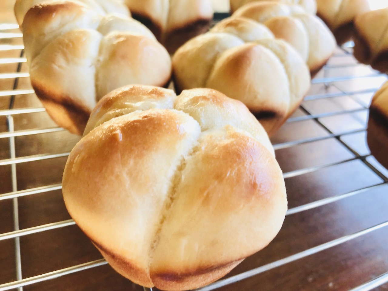 Amish Friendship Bread Cloverleaf Dinner Rolls