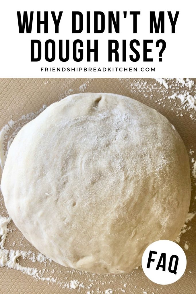 FAQ Why didn't my bread or dough rise? Friendship Bread Kitchen