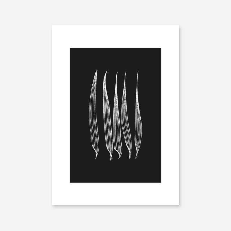 23+ Printable Leaf Wall Art CimeraPaula