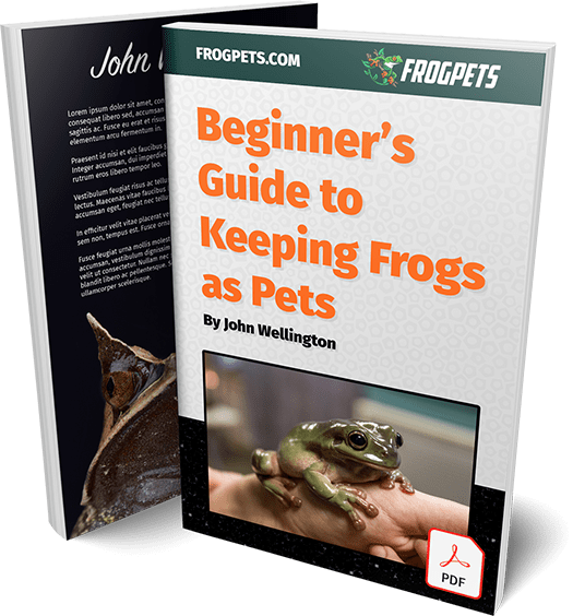 Frog & Toad Pet Care Guides, Information and Product Reviews