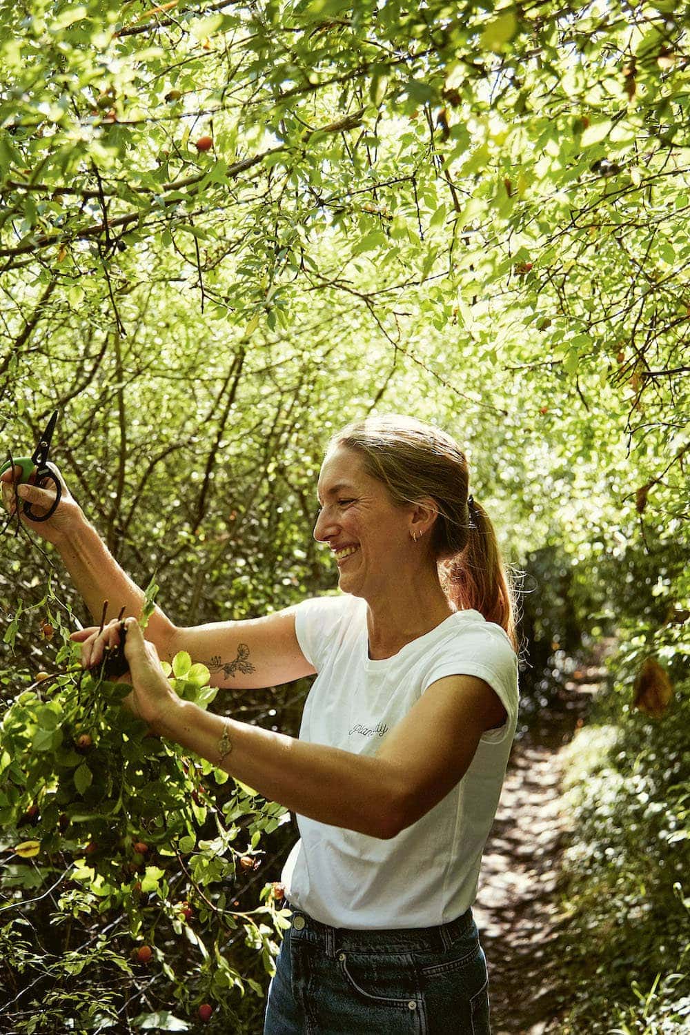 Flowers Forever beautiful new book by Bex Partridge signed copies to win