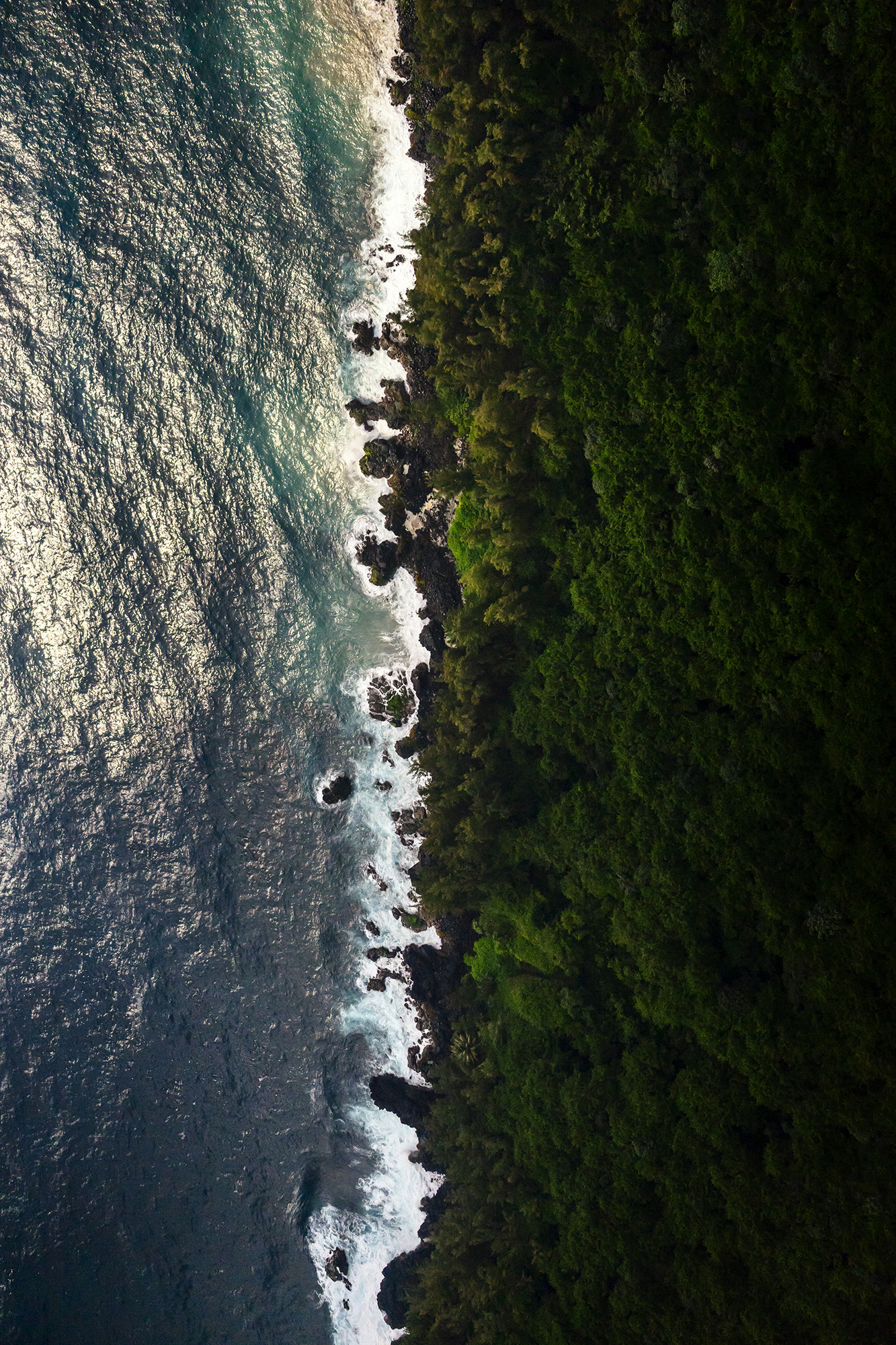 Nanawale Bay Coastline