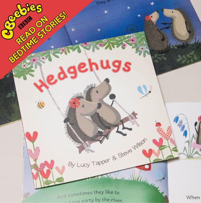 7 Personalised Gifts For Hedgehog Lovers!