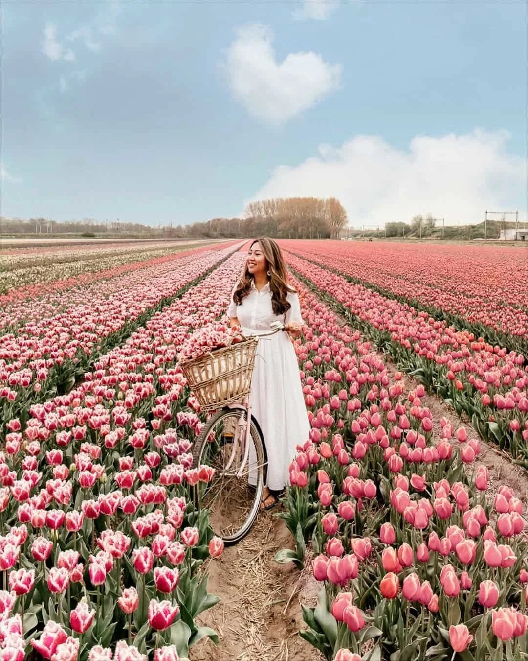 Best Tips for Visiting Tulip Fields in the Netherlands Where, When