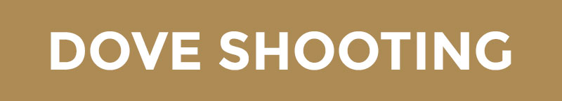 dove-shooting