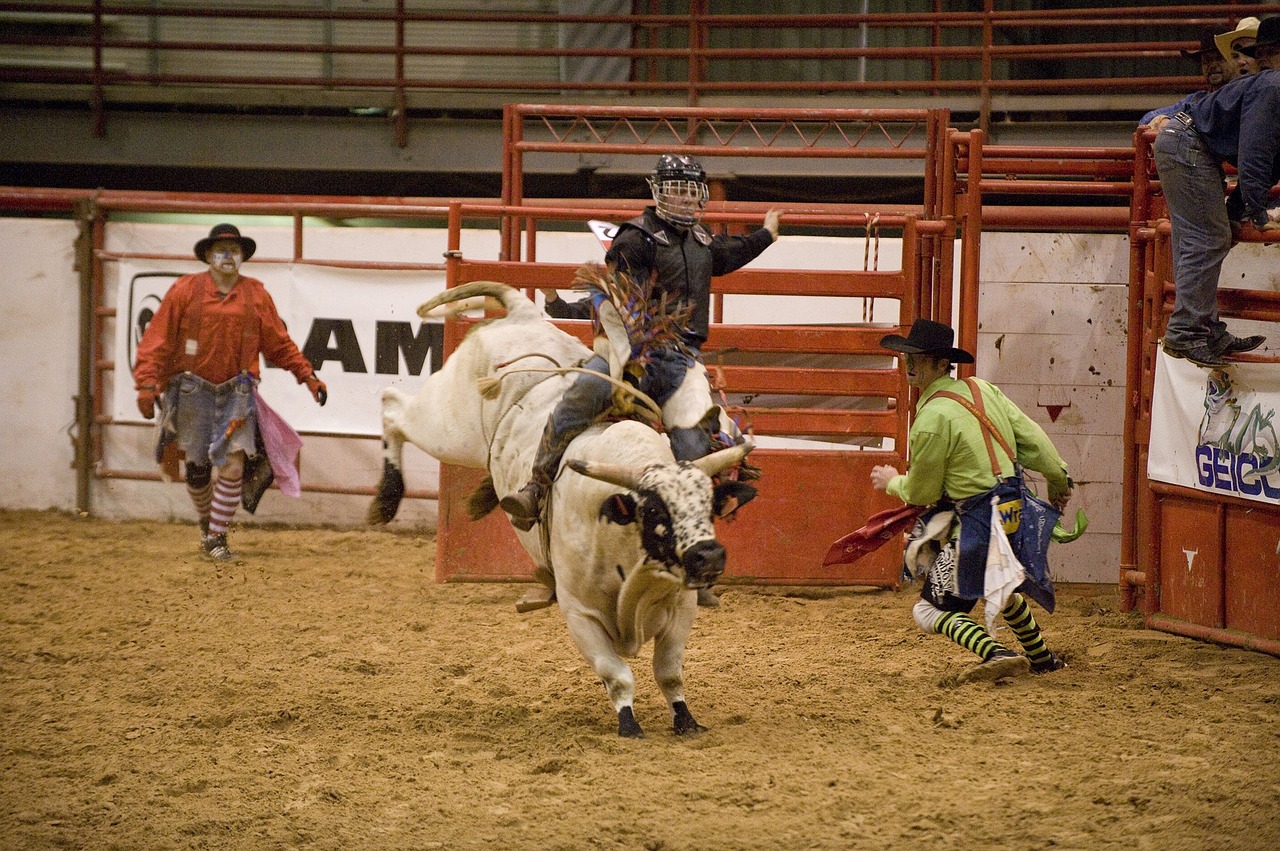 Top Five Places to Experience the Rodeo in North America