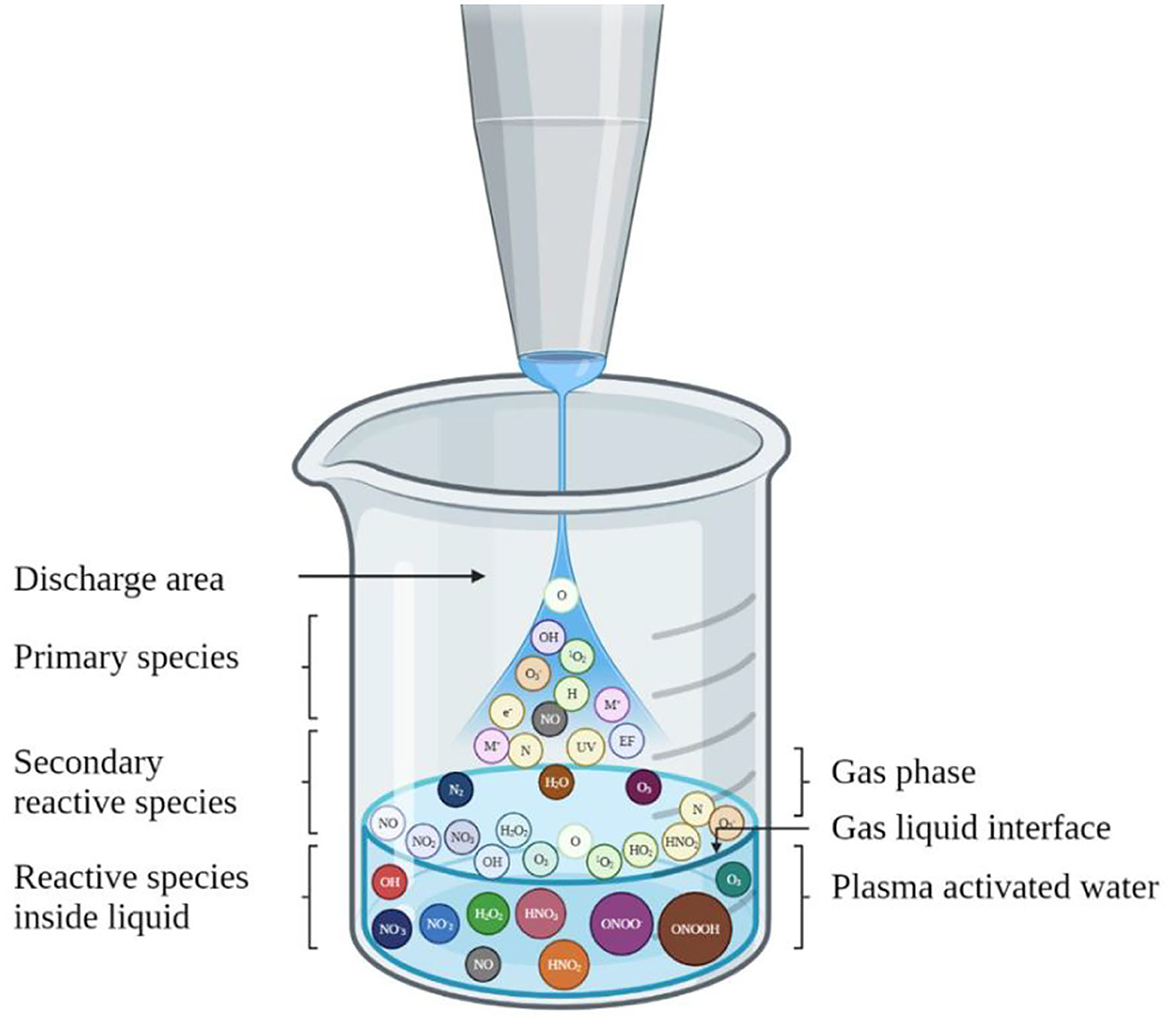 Frontiers Applications of water activated by ozone, electrolysis, or