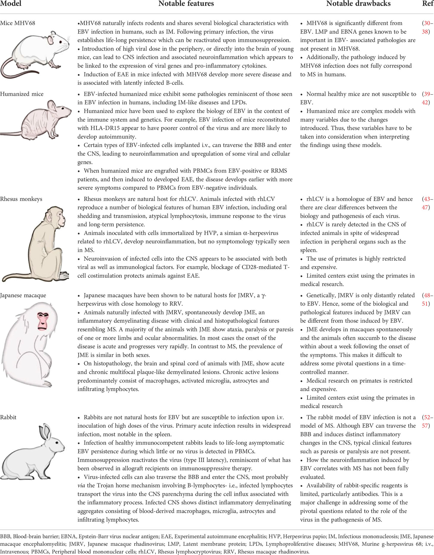 Frontiers What do animal models tell us about the role of EBV in the