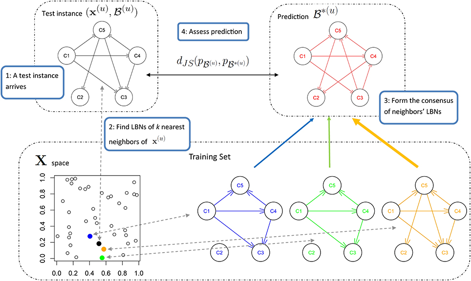 Frontiers Multidimensional classification of GABAergic interneurons