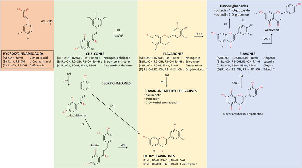 Frontiers When plants produce not enough or at all metabolic