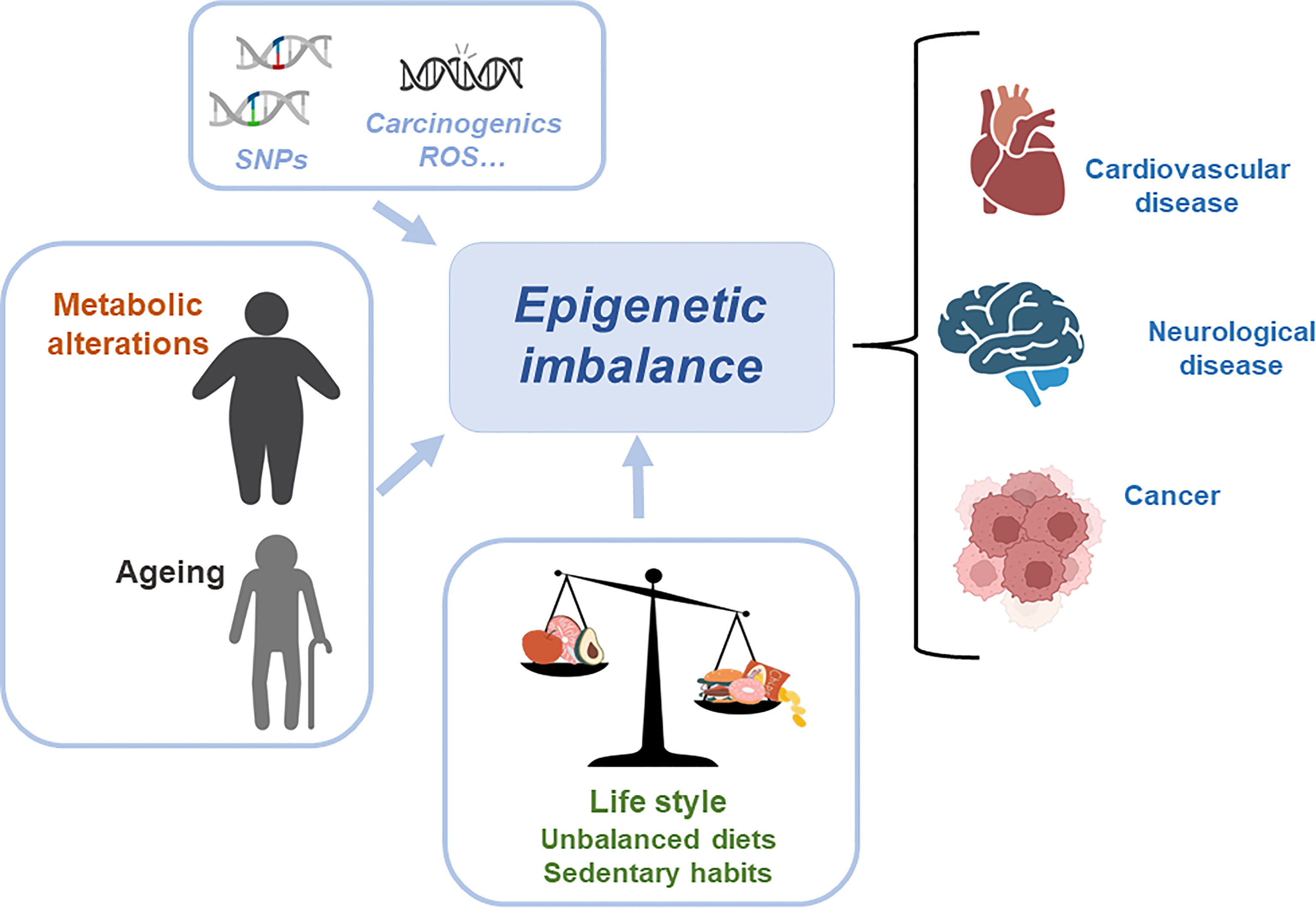Frontiers interplay provides targeted nutritional(04)