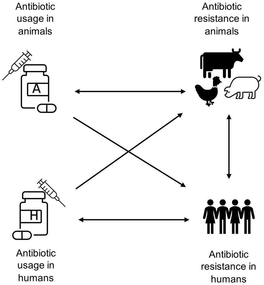 Frontiers The effect of antibiotic usage on resistance in humans and