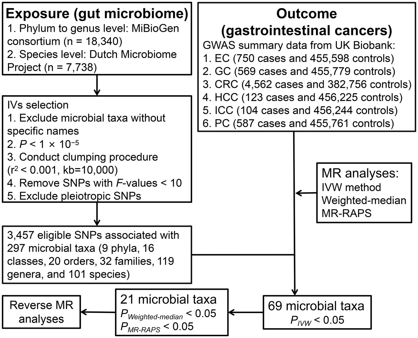 Frontiers Association between gut microbiota and gastrointestinal