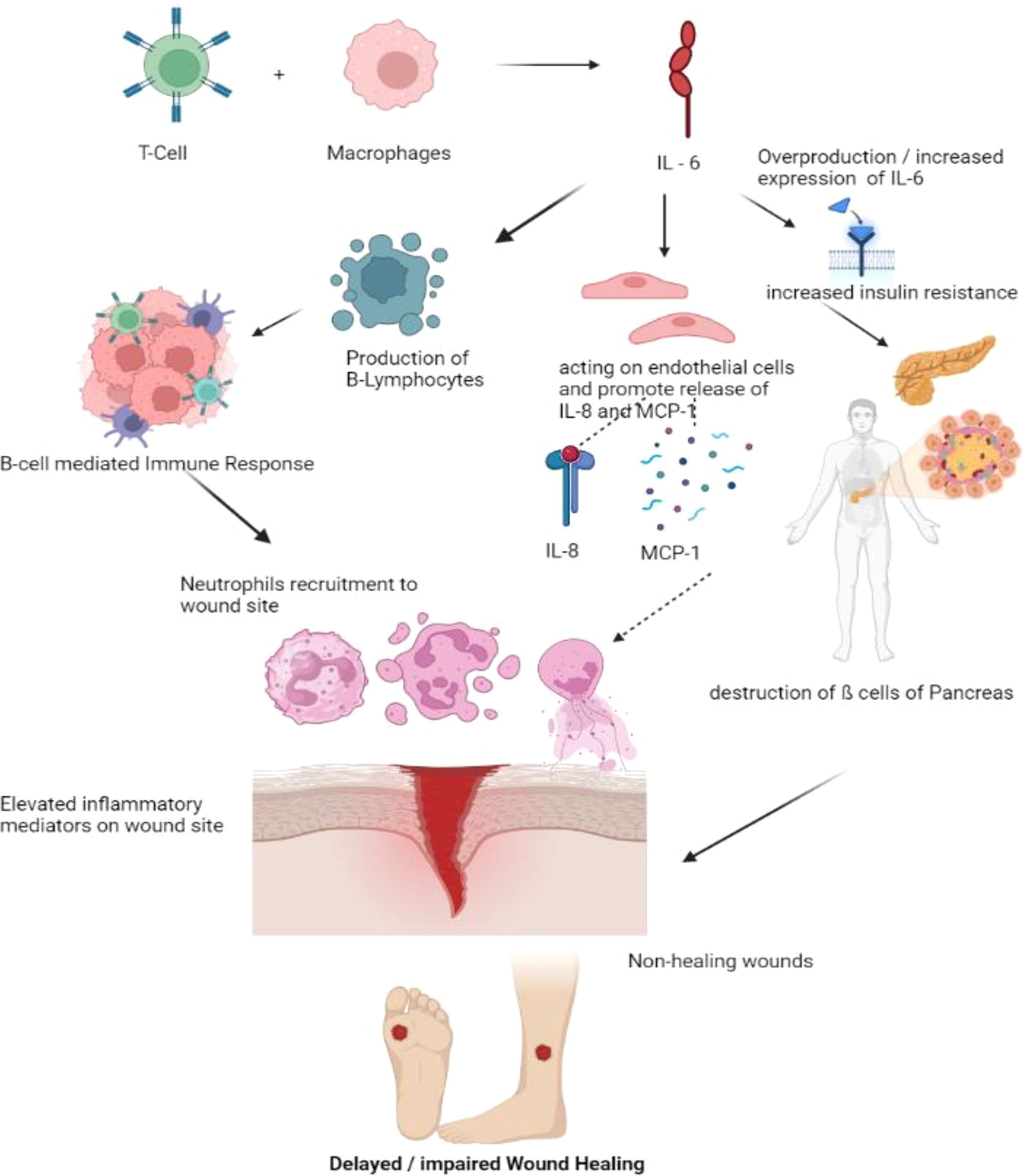 Frontiers Exploring the contribution of proinflammatory cytokines to(04)