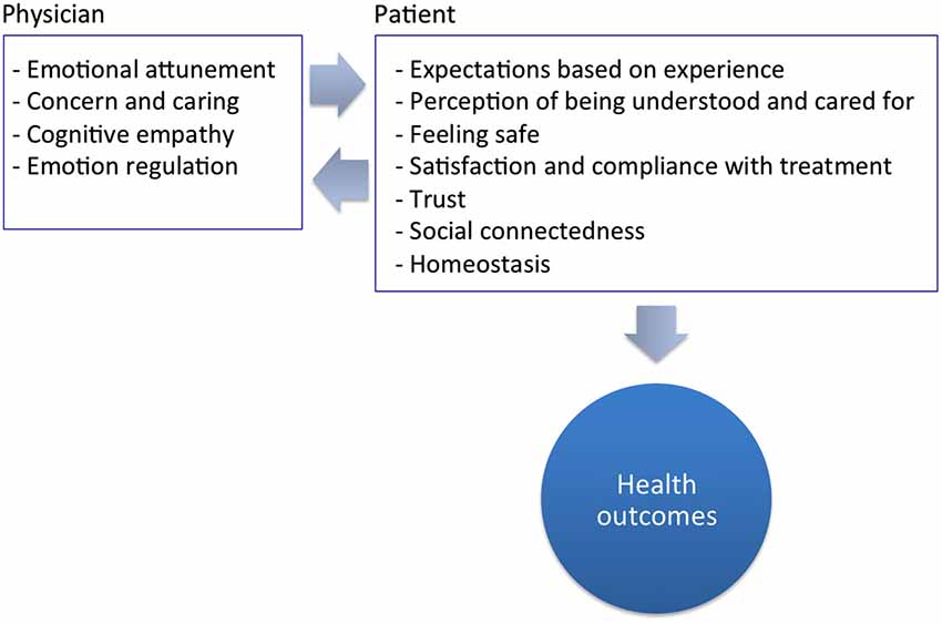 Frontiers Why empathy has a beneficial impact on others in medicine