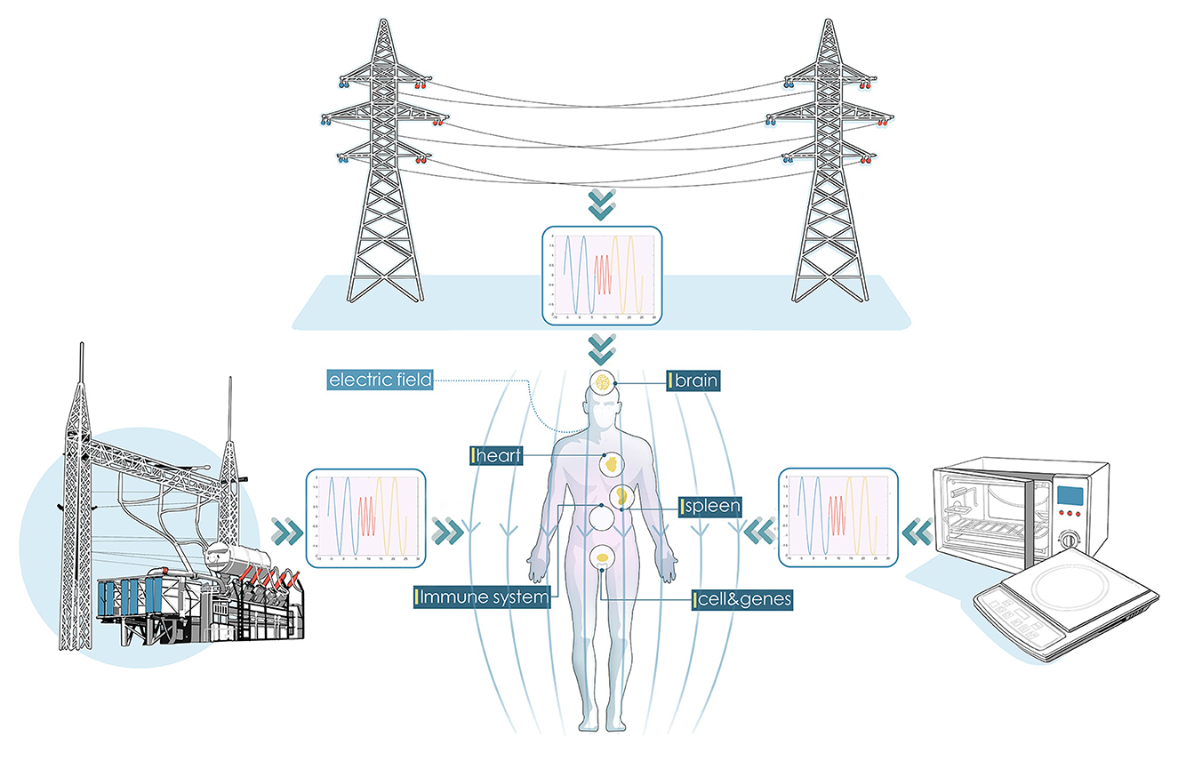 Frontiers Systemlevel biological effects of extremely lowfrequency