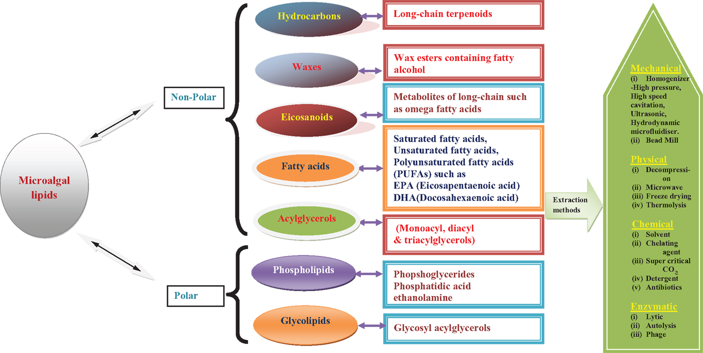 Frontiers Lipid Extraction Methods from Microalgae A Comprehensive
