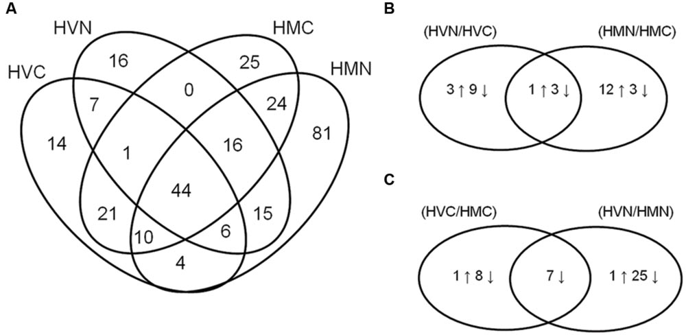 Frontiers | Proteomic Response of Hordeum vulgare cv. Tadmor and