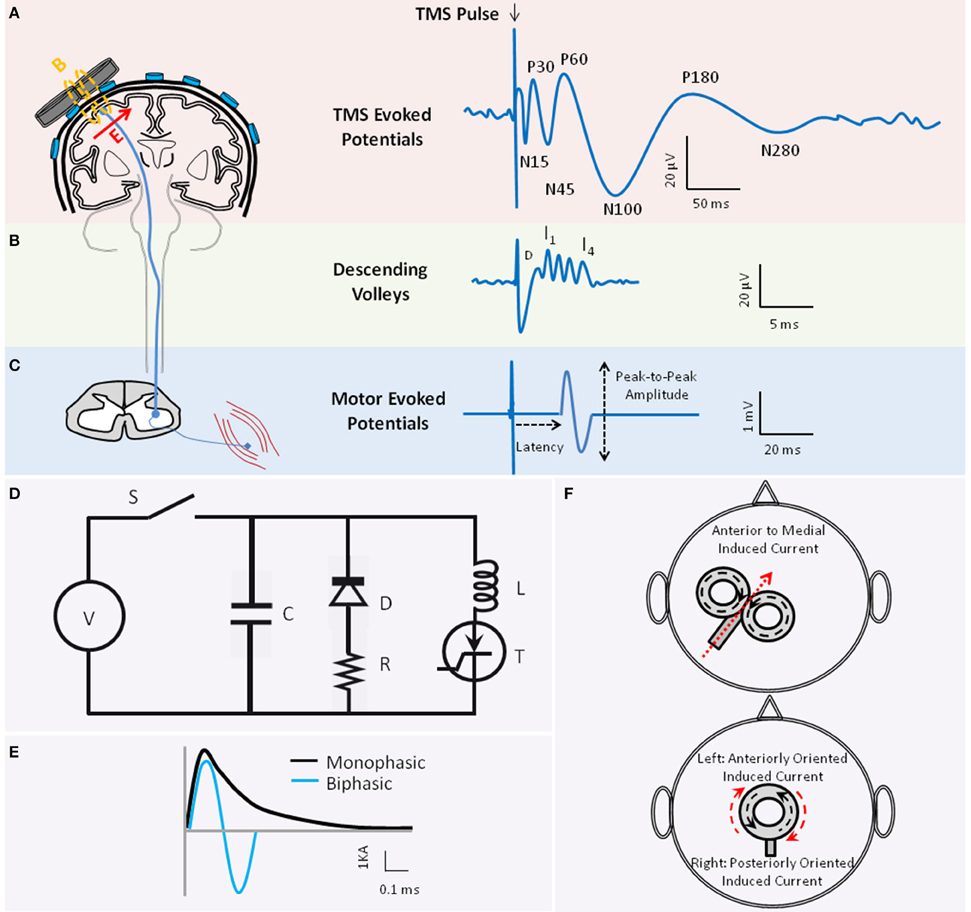 Frontiers Characterizing and Modulating Brain Circuitry through