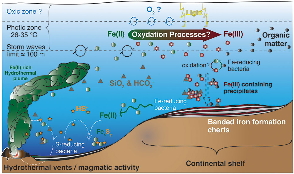 Frontiers Photoferrotrophy Remains of an Ancient Photosynthesis in