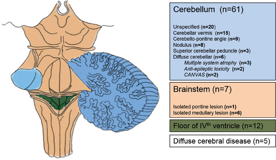 Frontiers Central Positional Nystagmus A Systematic Literature