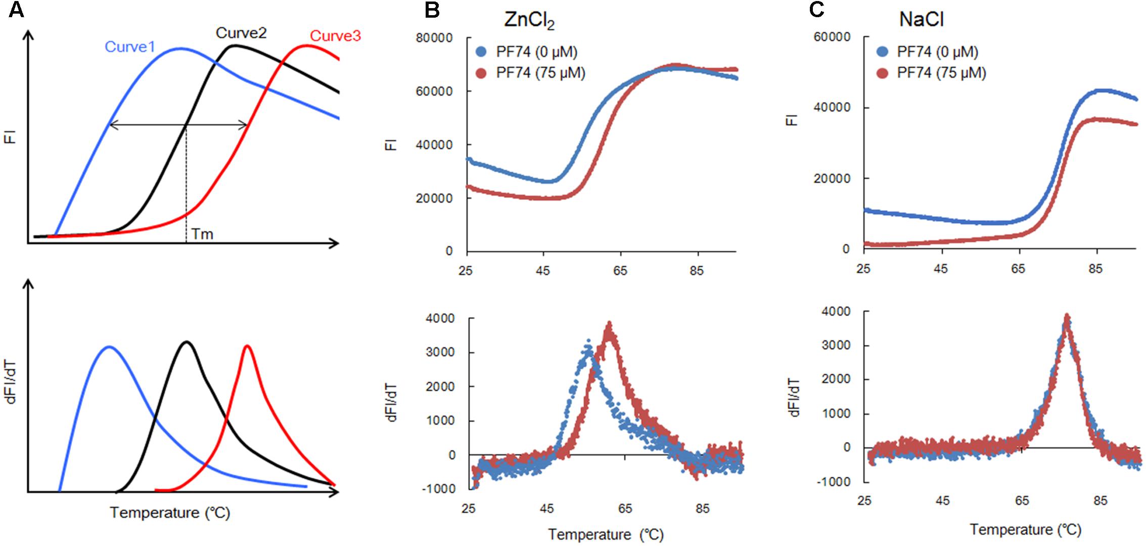 Frontiers Novel In Vitro Screening System Based on Differential