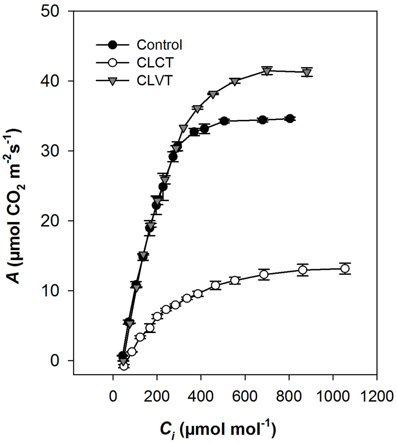 Frontiers Temperature Variation under Continuous Light Restores