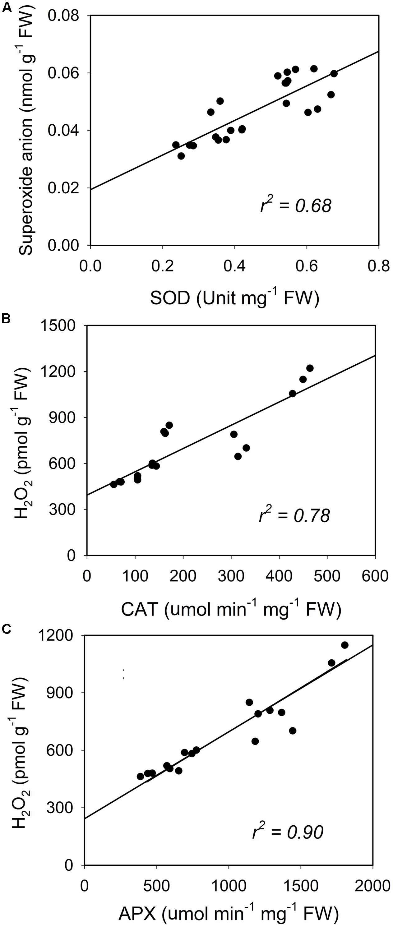 Frontiers Temperature Variation under Continuous Light Restores