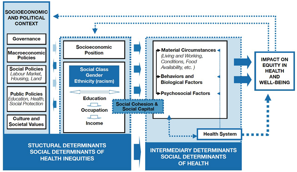 Frontiers The rights and freedoms gradient of health evidence from a