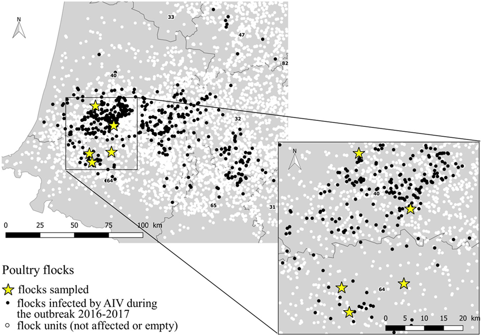 Frontiers Airborne Detection of H5N8 Highly Pathogenic Avian