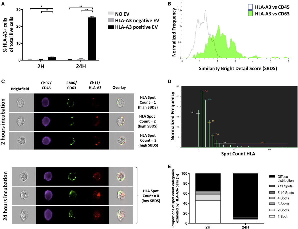 Frontiers Multiparametric Analysis of Circulating Exosomes and Other
