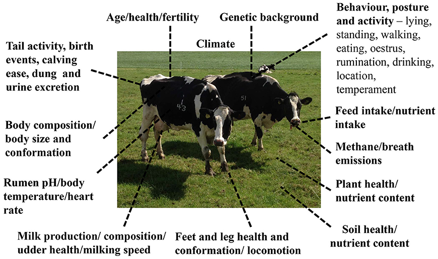 Frontiers Novel Monitoring Systems to Obtain Dairy Cattle Phenotypes