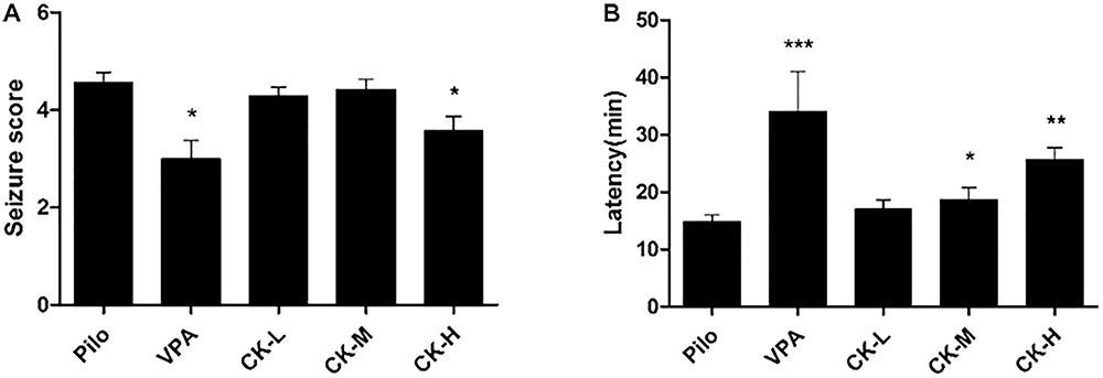 Frontiers The Effects of Ginsenoside Compound K Against Epilepsy by