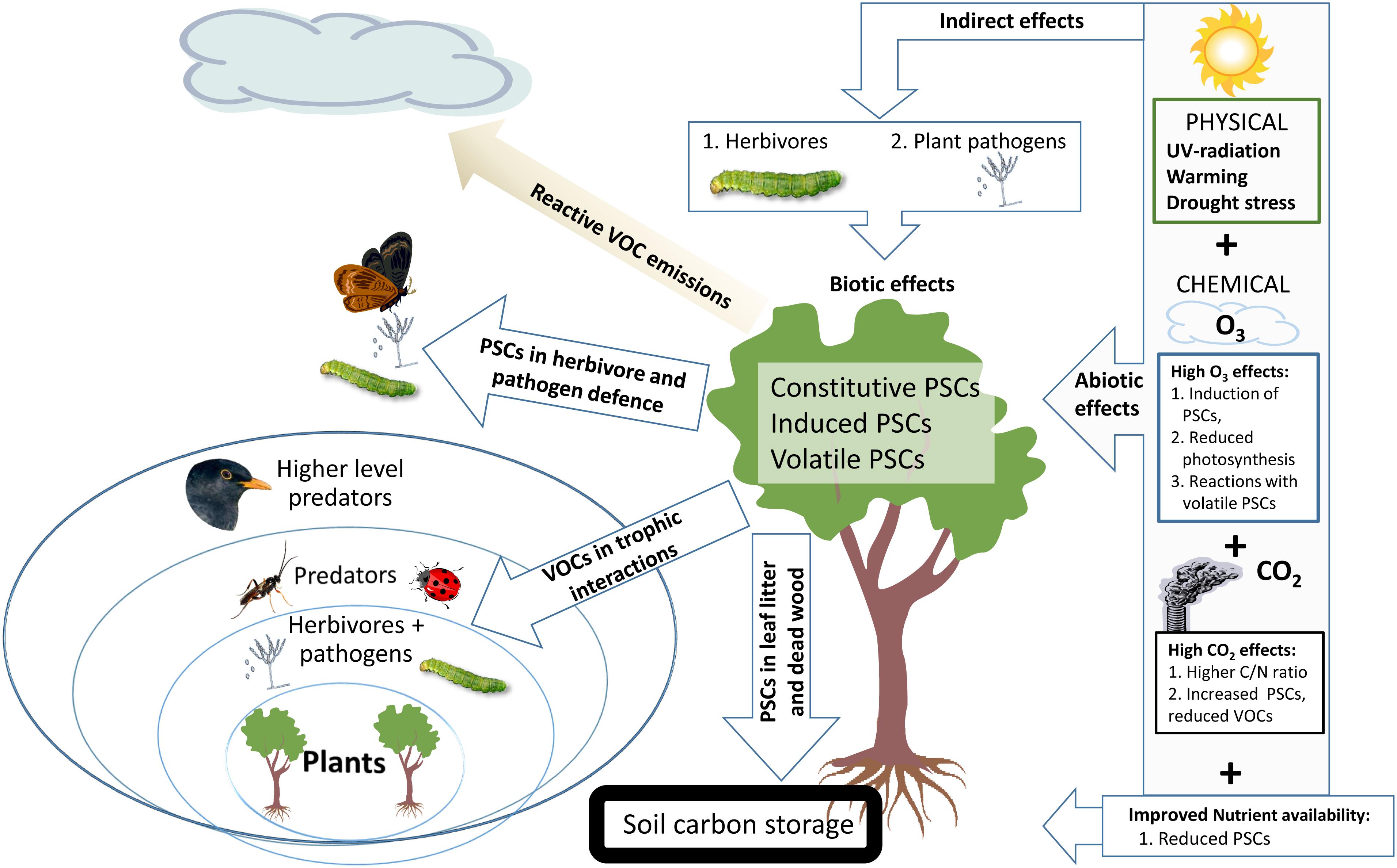 Frontiers Climate Change Effects on Secondary Compounds of Forest
