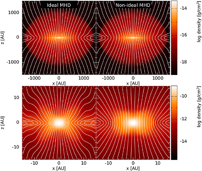 Frontiers The Role of Fields in the Formation of