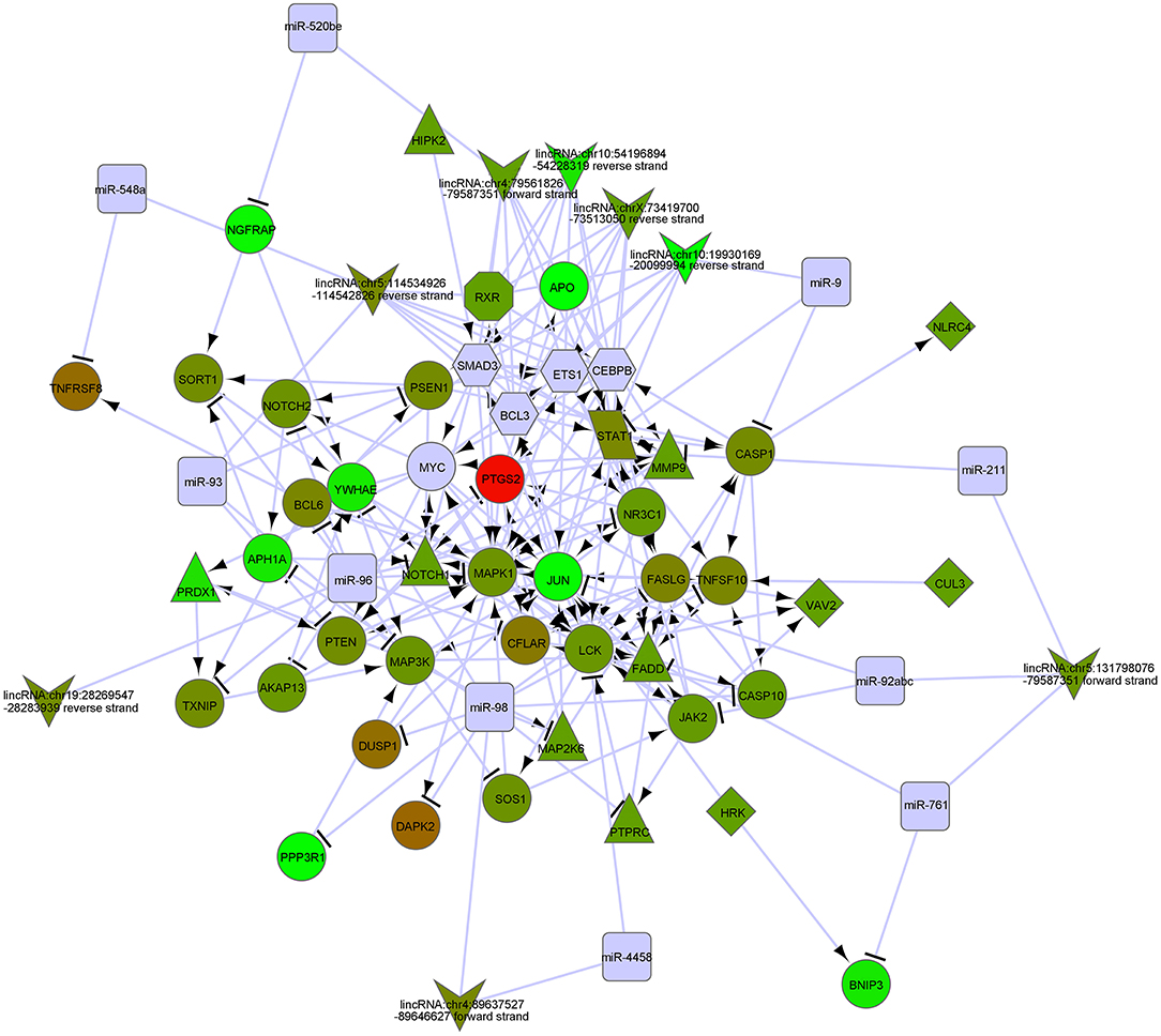Frontiers An Integrated Regulatory Network Based on Comprehensive