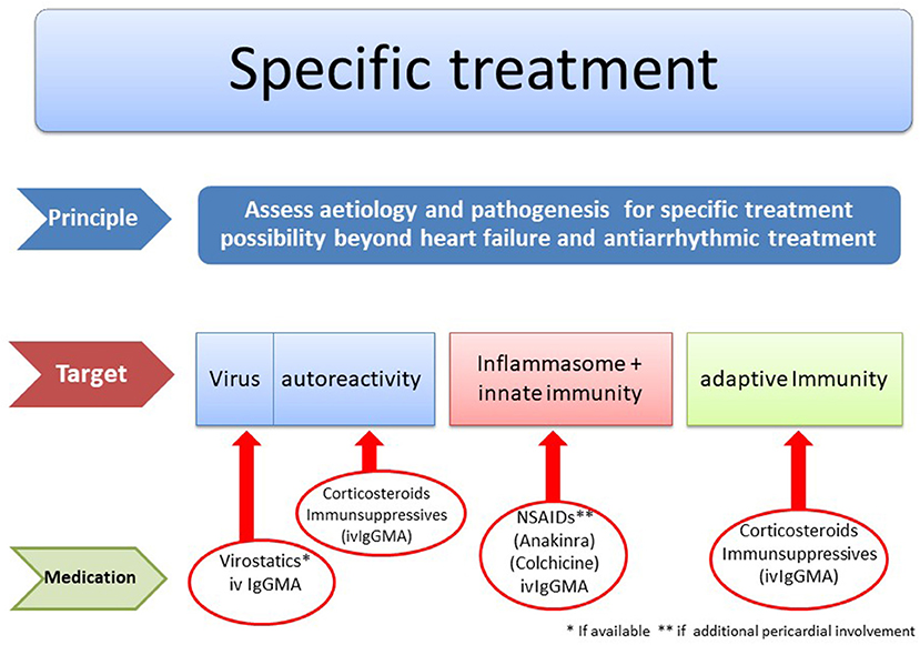 Often, the cause of myocarditis isn't identified. Frontiers Cardio Immunology Of Myocarditis Focus On Immune Mechanisms And Treatment Options Cardiovascular Medicine