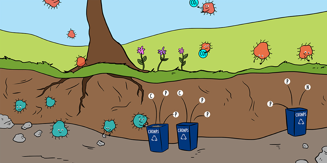 Bacteria Have Superpowers to Recycle Soil Nutrients · Frontiers for