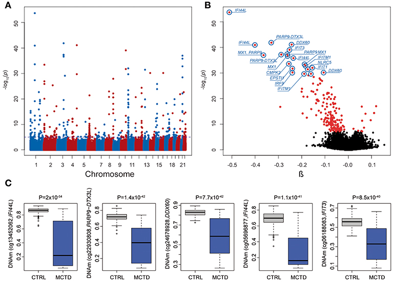 Frontiers EpigenomeWide Comparative Study Reveals Key Differences