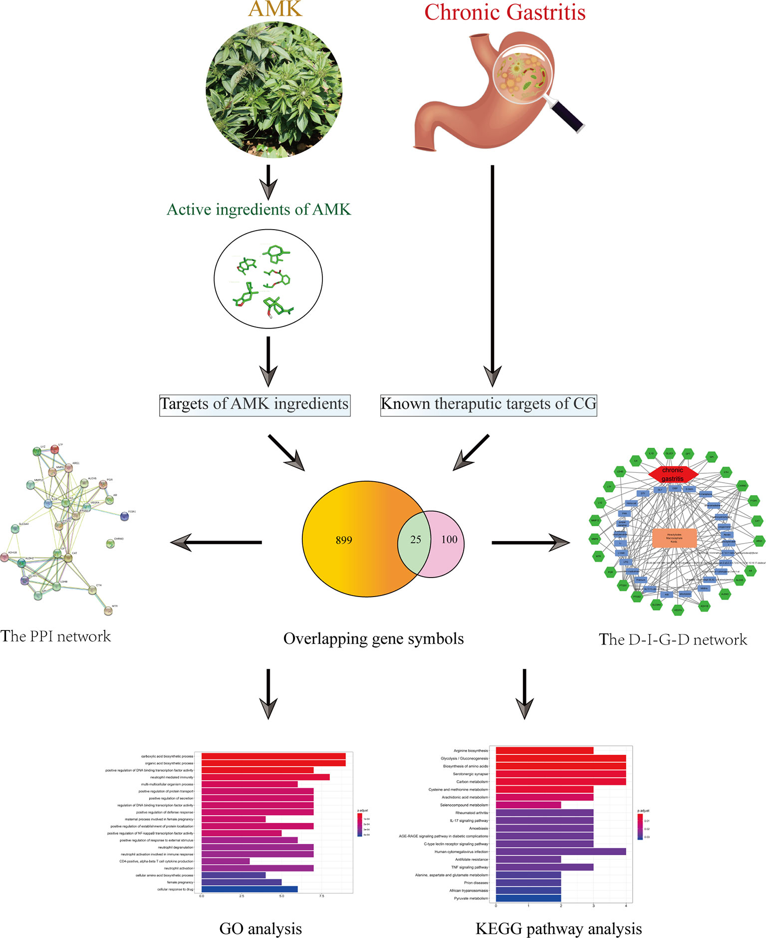 Frontiers Network PharmacologyBased Strategy to Investigate the