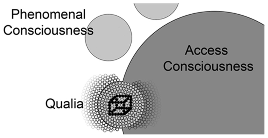 Frontiers Quantized visual awareness Psychology