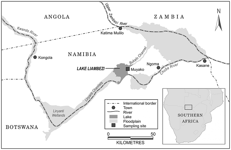 A plain that borders a river, formed from sediment deposited by floods. Floodplain Meaning : Frontiers Food Web Structure And Trophic Dynamics Of A Fish Community In An Ephemeral Floodplain Lake Environmental Science