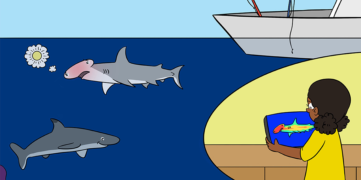 Exposure to Sunlight Affects the Body Temperatures of Sharks · Frontiers  for Young Minds