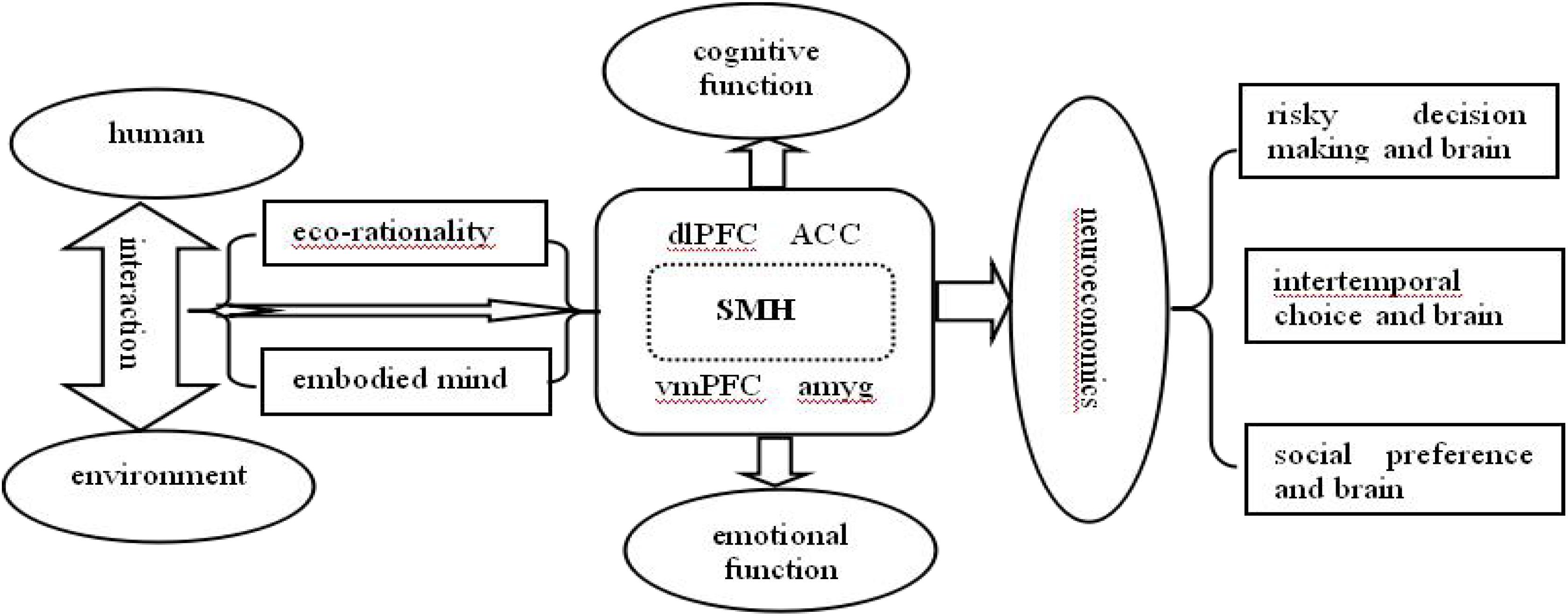 Frontiers Bridging Ecological Rationality, Embodied Emotion, and