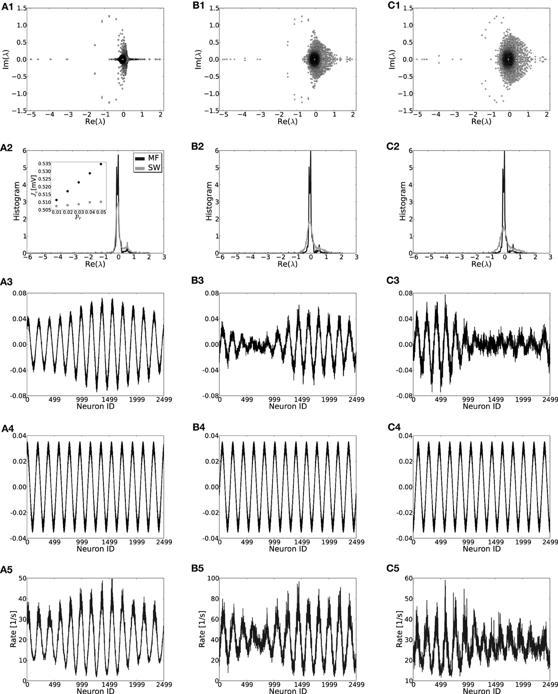 Frontiers How pattern formation in ring networks of excitatory and