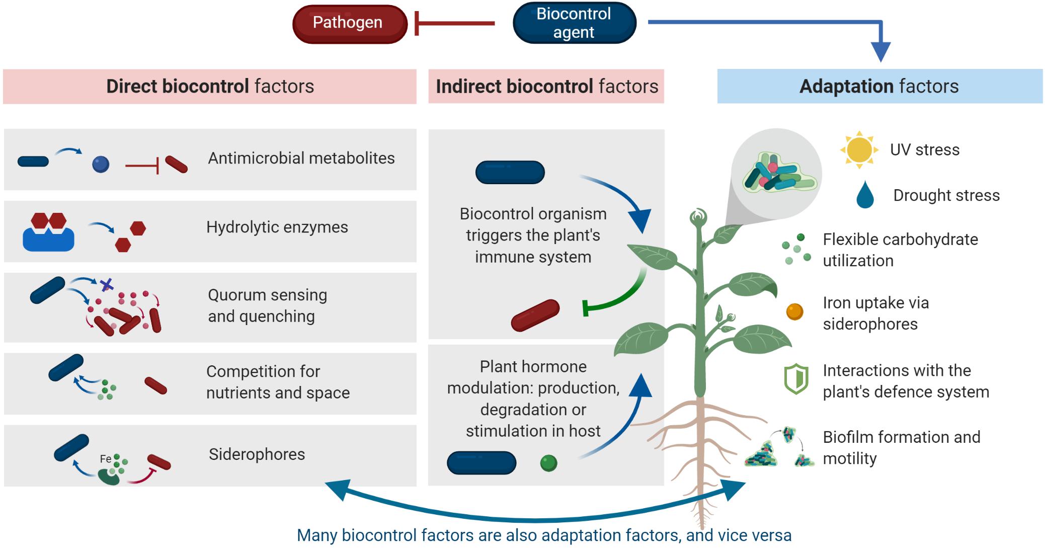 Frontiers Modes of Action of Microbial Biocontrol in the Phyllosphere