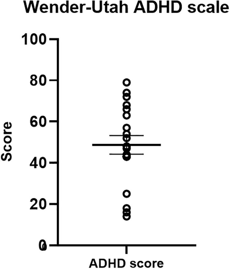 Frontiers Inducing a FunctionalPharmacological Coupling in the Human