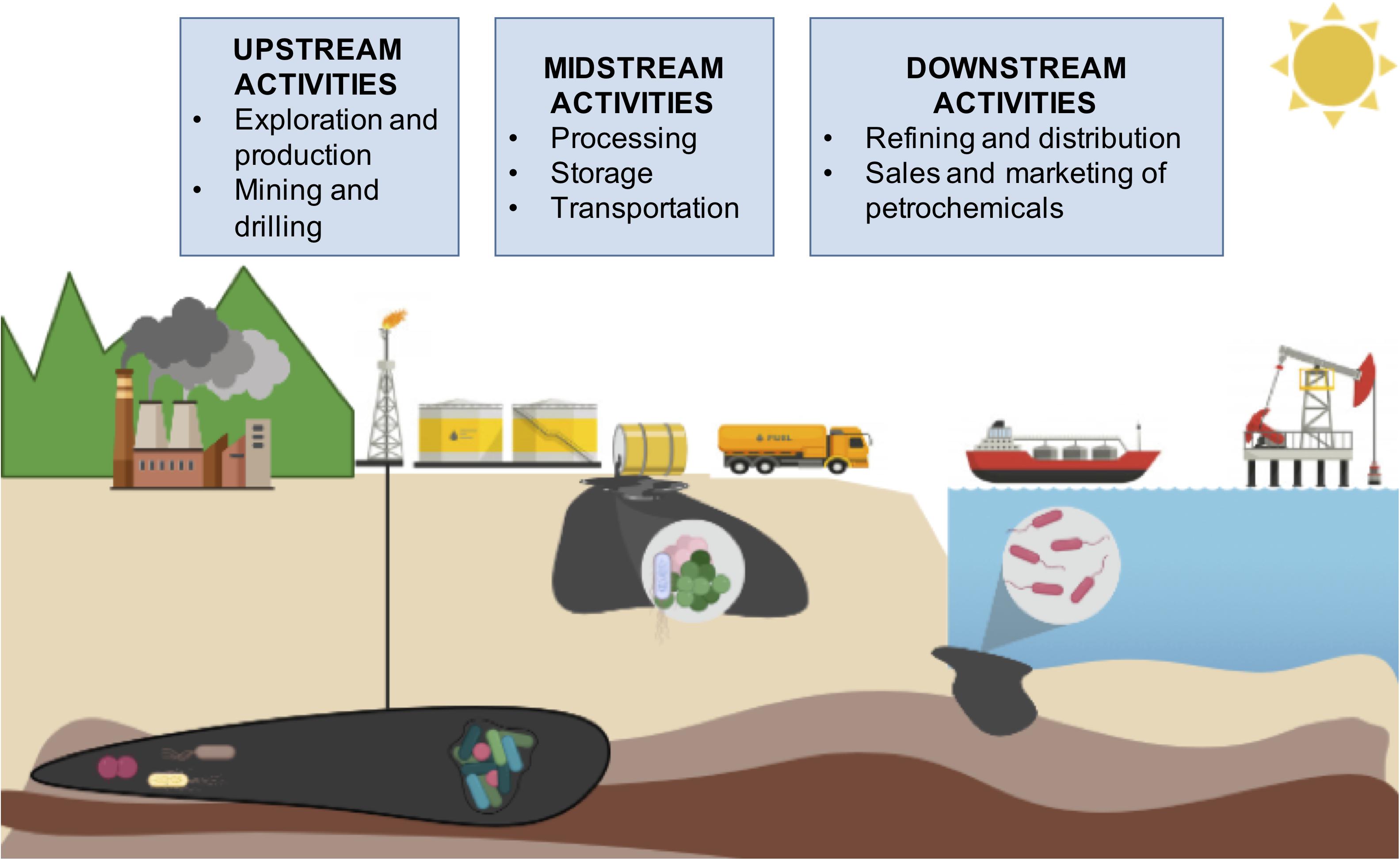Frontiers Metagenomic Insights Into the Mechanisms for Biodegradation